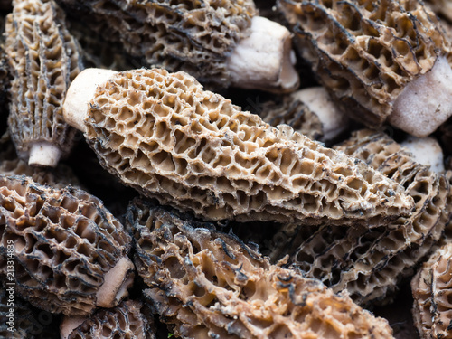 Close up shot of morel mushrooms