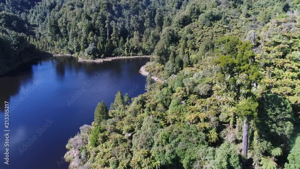 Aerial view New Zealand bush and a lake Aerial view New Zealand bush and a lake