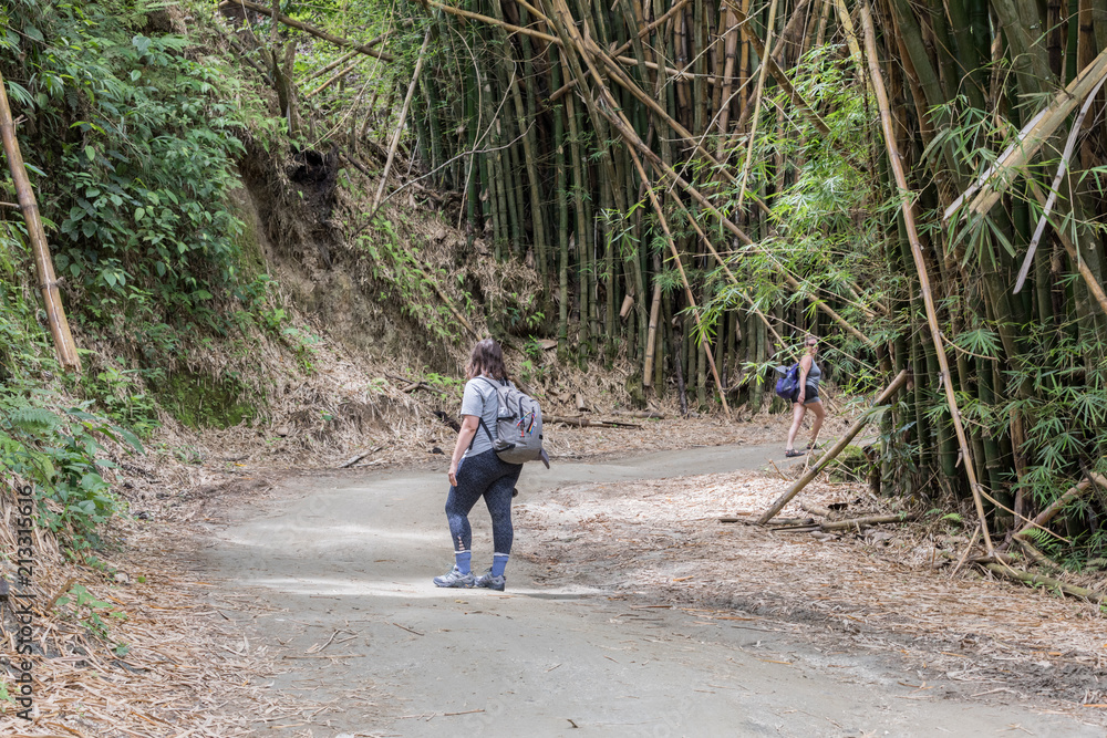 Obraz premium Hiking Photography