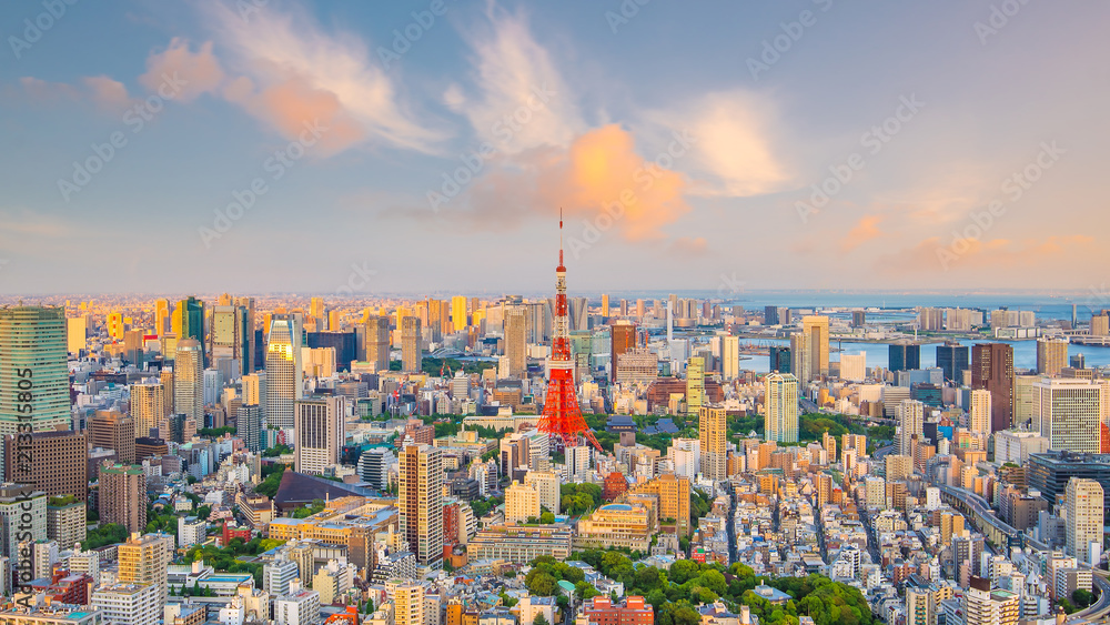 Fototapeta premium Tokio skyline z Tokyo Tower w Japonii