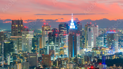 Tokyo skyline  in Japan © f11photo