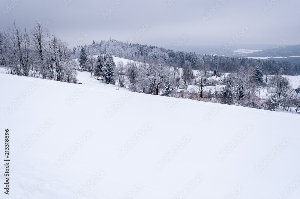 Obraz premium Fairy-tale winter scene. Village by the forest in the hills. The Bohemian-Moravian Highlands in Czech Republic