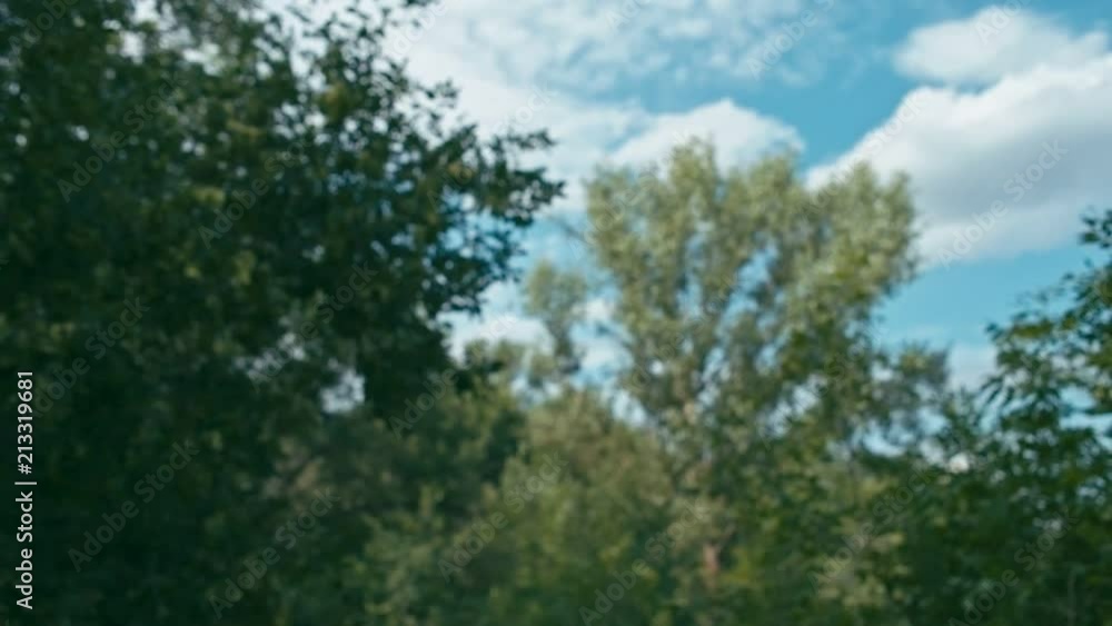 Cheerful young woman in forest walking on road, slow motion, shallow depth of field Cheerful young woman in forest walking on road, slow motion, shallow depth of field