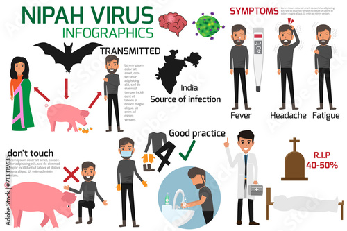 Nipah virus (niv) Infographics is a newly emerging zoonosis that causes severe disease in both animals and humans. Healthy cartoon concept vector illustration. Symptoms and prevention of Nipah Virus. photo