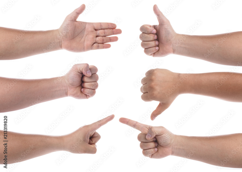 Human hands isolated on white background. Hands in various pose.