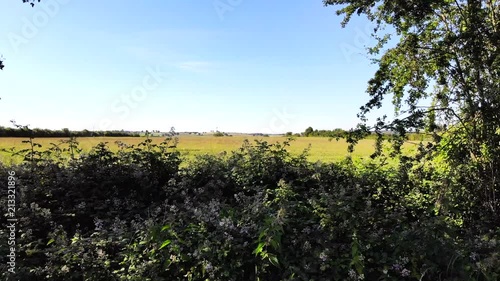 Gliding drone shot over the hedge and into a field photo