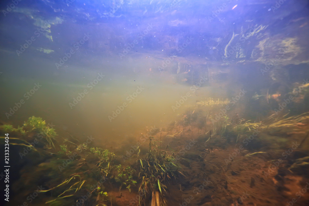 underwater photo of freshwater pond / underwater landscape with sun rays and underwater ecosystem, algae and water lilies