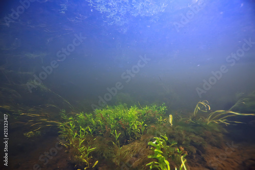 underwater landscape transparent lake / fresh water ecosystem unusual landscape under water © kichigin19