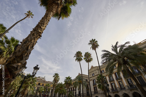 Placa with Palm Trees in Barcelona