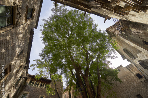 Plaça de Sant Felip Neri in Barcelona