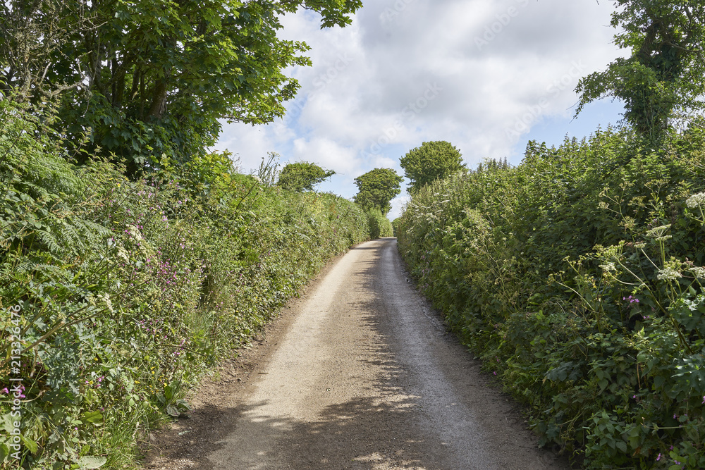 Scenic small roads through Cornwalls Nature
