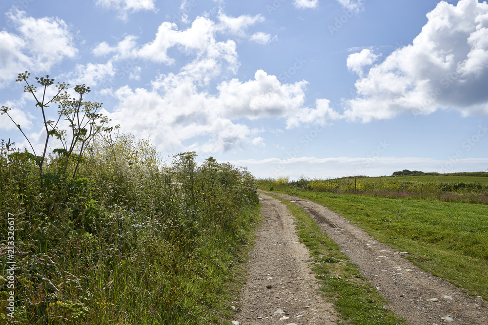Rural path on open fields