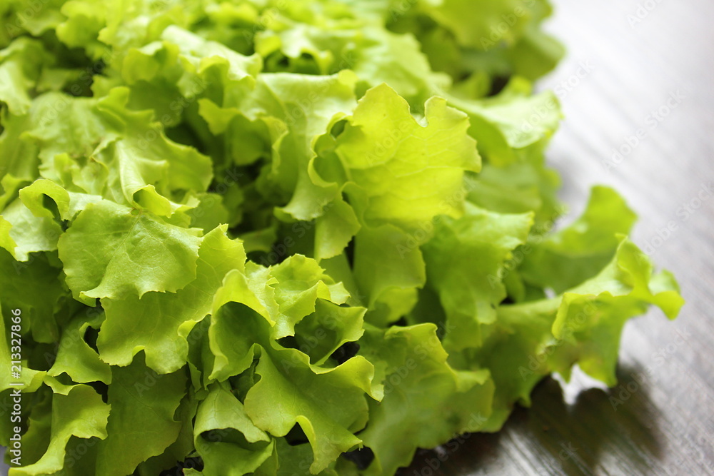 lays on the table a juicy green fresh salad lays on the table a juicy green fresh salad