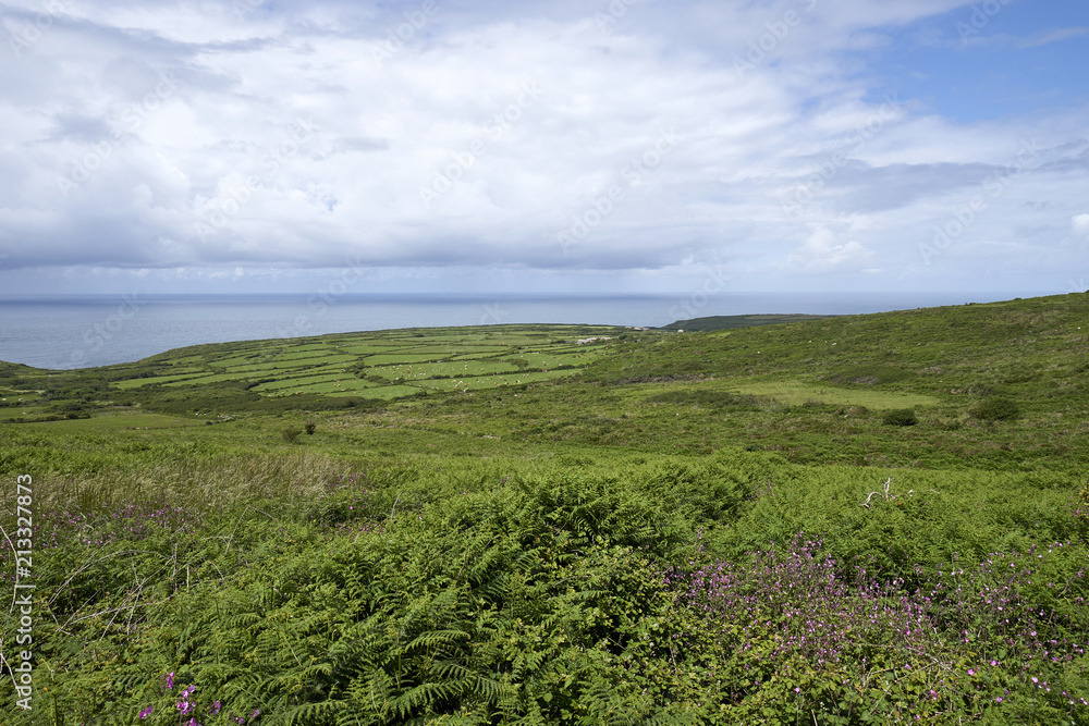 Beautiful Panorama View of Cornwalls Coastline