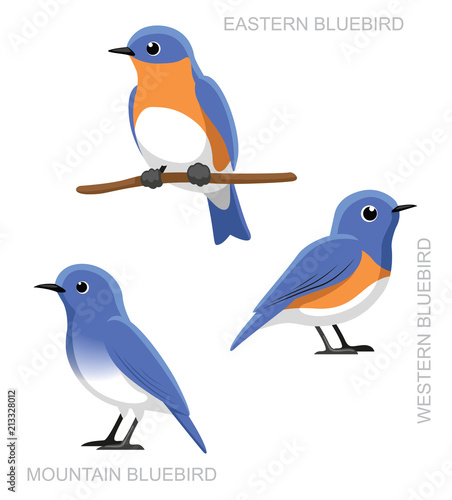 Bird Bluebird Set Cartoon Vector Illustration