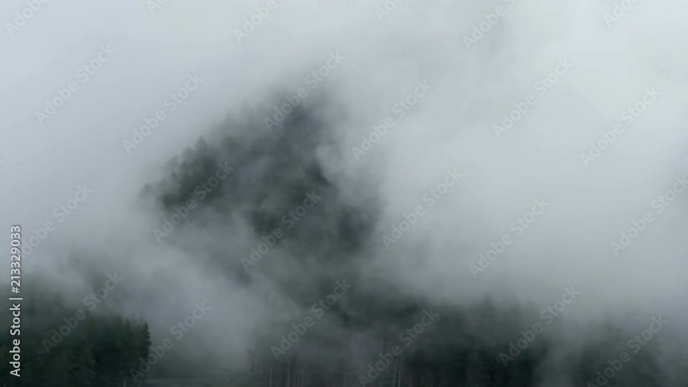 Early morning mist rising and dissolving on the forested slopes of alpine mountains. Early morning mist rising and dissolving on the forested slopes of alpine mountains.
