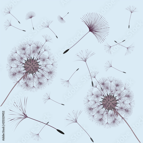 Abstract background of a dandelion for design.