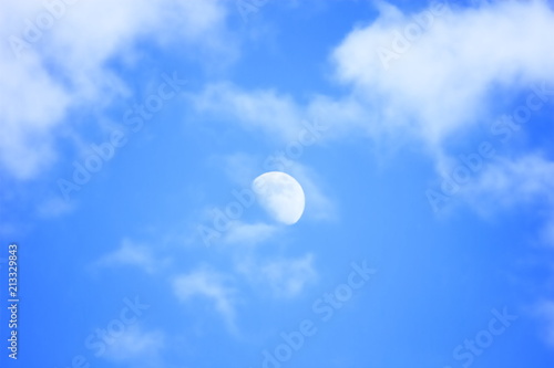 the moon in the daytime