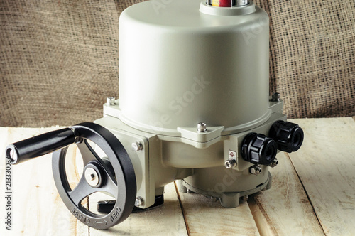 Slika na platnu Small electric drive (actuator) gray colour for valves