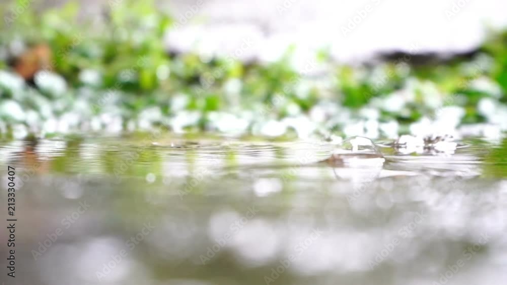 Raindrops. Natural background Raindrops. Natural background
