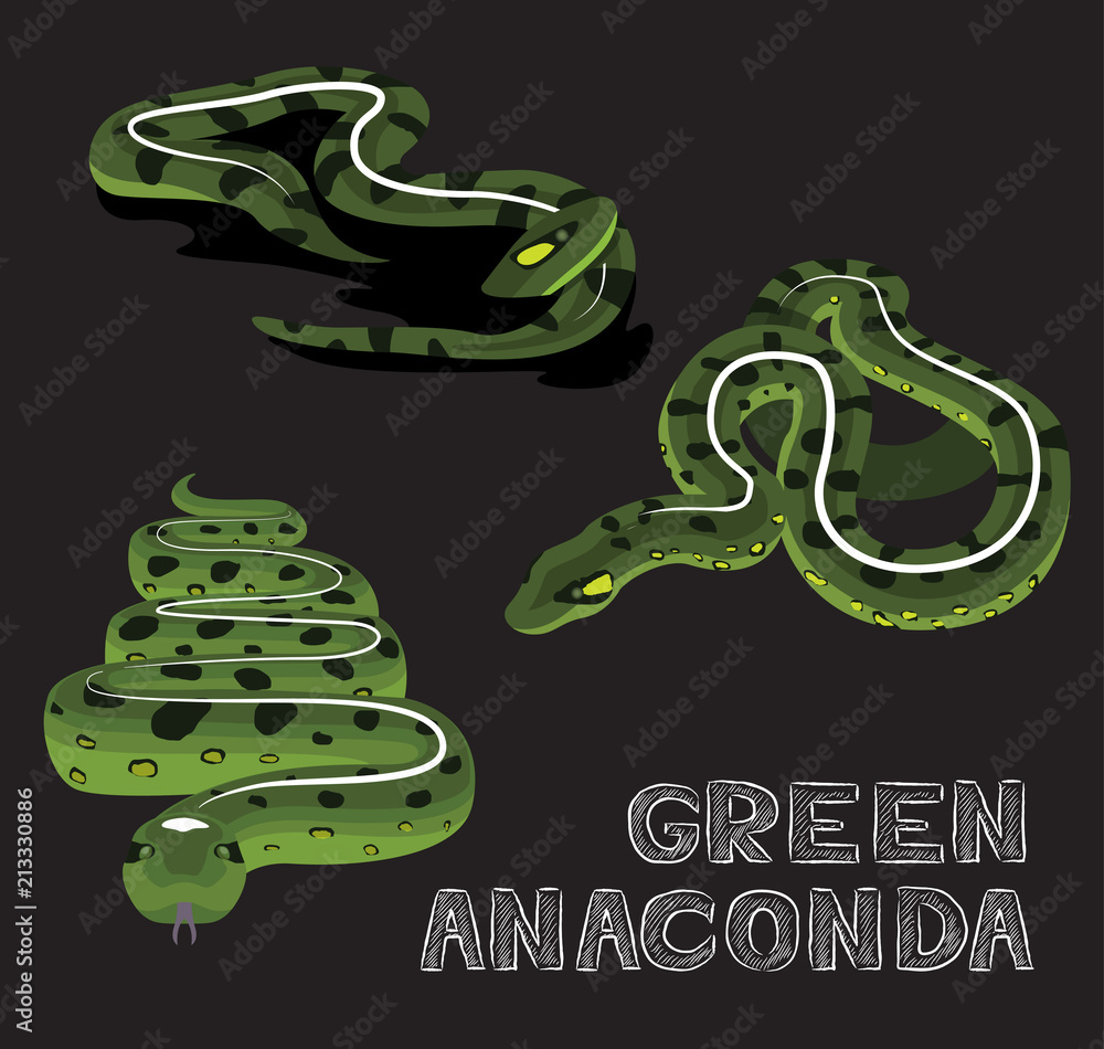 Fototapeta premium Snake Green Anaconda Cartoon Vector Illustration