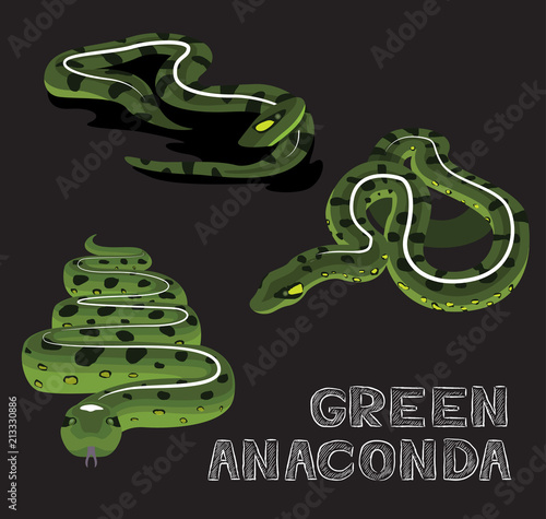 Snake Green Anaconda Cartoon Vector Illustration Stock Vector | Adobe Stock