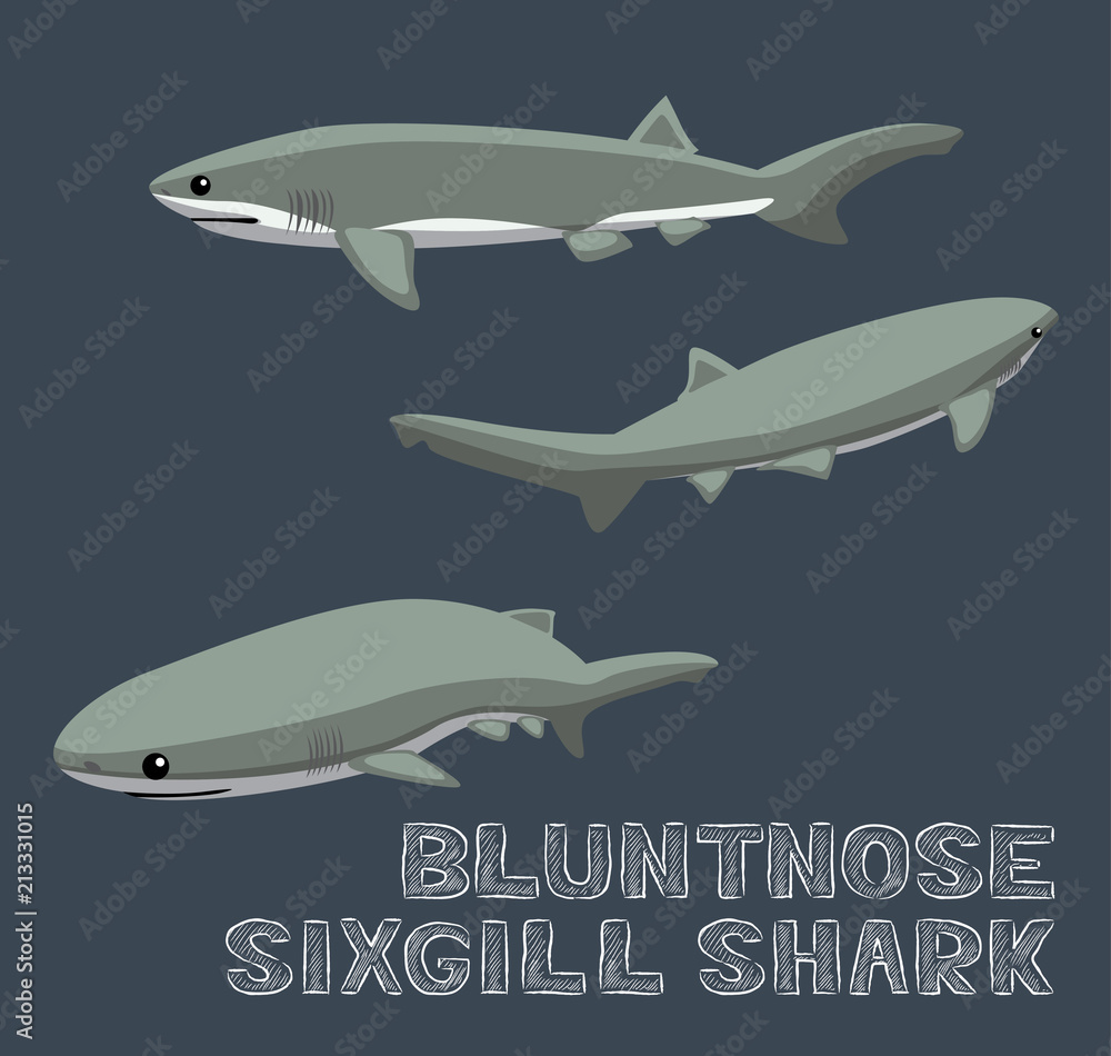 Bluntnose Sixgill Shark Cartoon Vector Illustration