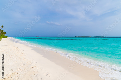 Beautiful tropical Maldives island on the beach background. © mikumistock