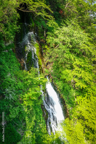 Fototapeta Naklejka Na Ścianę i Meble -  Kegon falls, Nikko, Japan