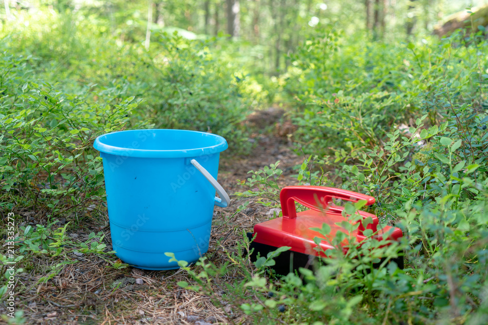 Red berry picker and blue bucket for collecting blueberries in woods Red berry picker and blue bucket for collecting blueberries in woods