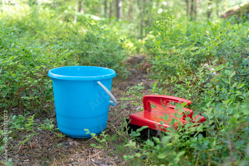 Red berry picker and blue bucket for collecting blueberries in woods