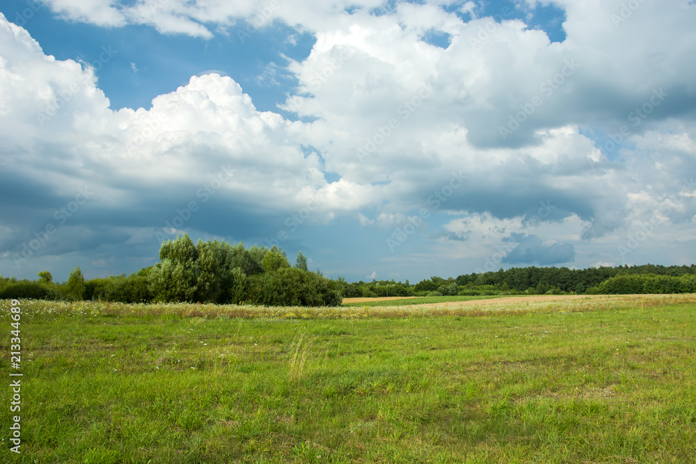 Green meadow, copse and cloudy sky