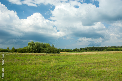 Green meadow  copse and cloudy sky