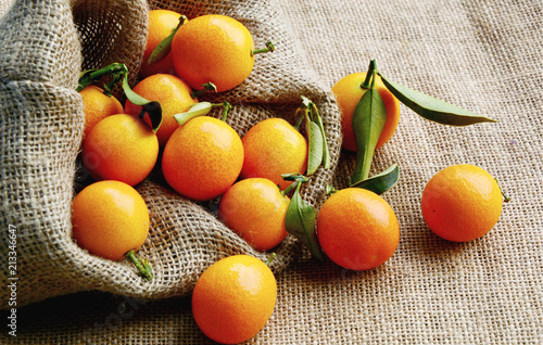 Kumquats or cumquats  and shadow in sack bag on sack floor.
Mini fruit but many useful. photo