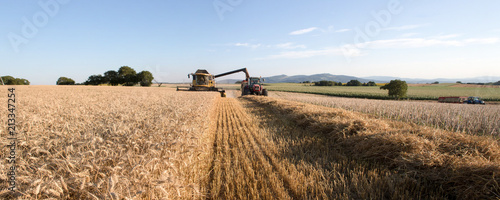 Panorama récolte, moisson du blé photo