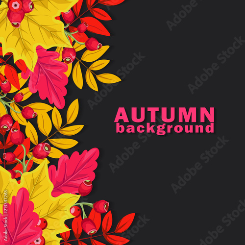 Autumn background with colorful leaves and berries on dark background. Vector illustration. 