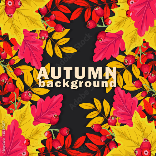 Autumn background with colorful leaves and berries on dark background. Vector illustration. 
