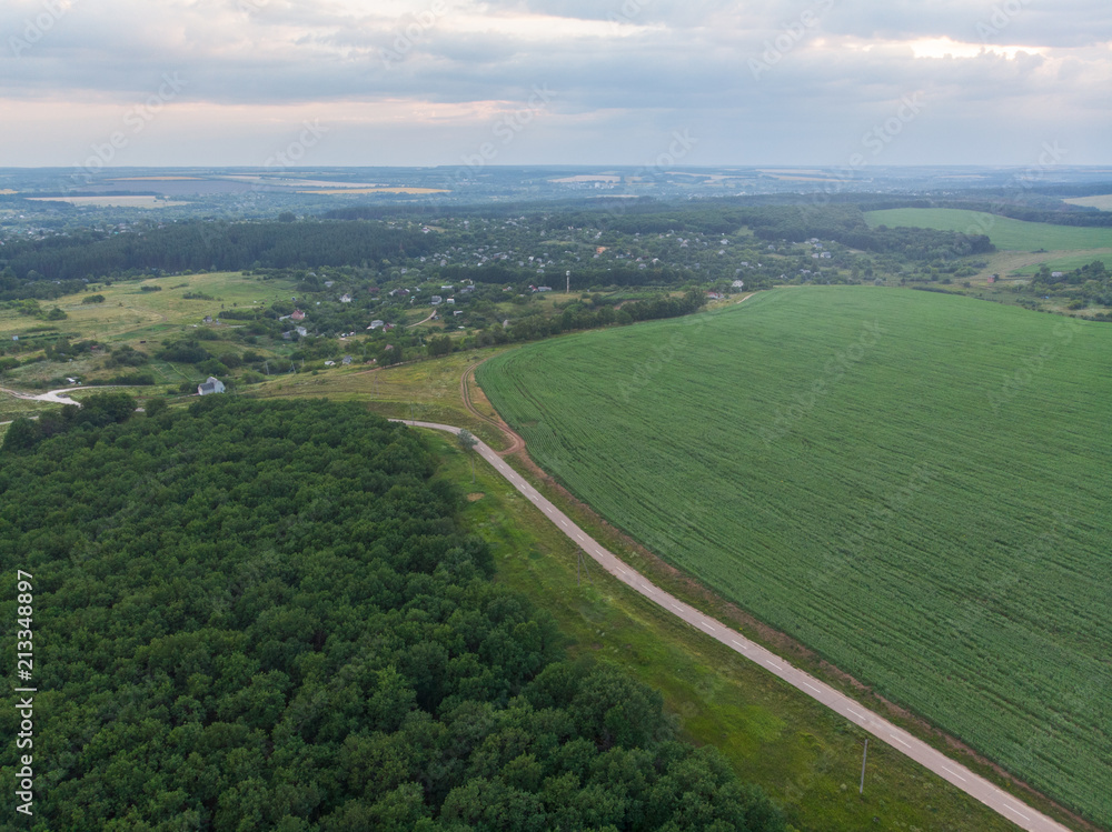 Road in the field view from the bird's eye view