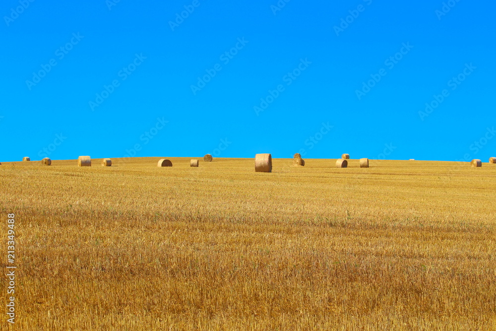 Fototapeta premium Strohballen