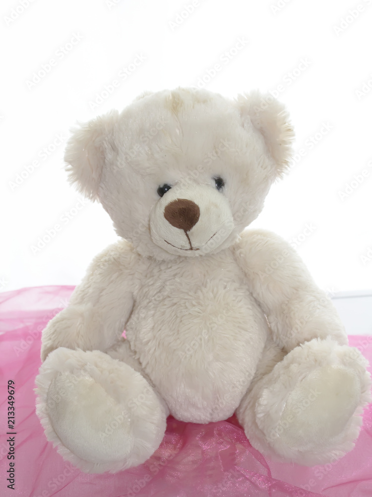 Obraz premium Soft baby toy bear on light background