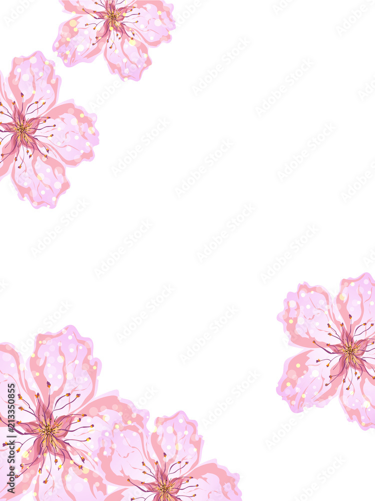 Pink sakura flowers decorated on white backgroud.