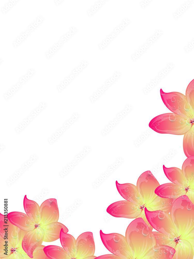 Water drops on shiny beautiful flowers decorated background.
