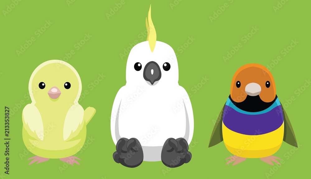Fototapeta premium Canary Cockatoo Finch Pet Doll Set Cartoon Vector Illustration