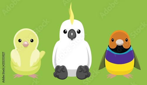 Canary Cockatoo Finch Pet Doll Set Cartoon Vector Illustration