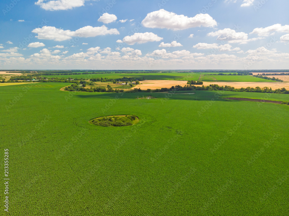 Top view of agricultural fields in Russia in July