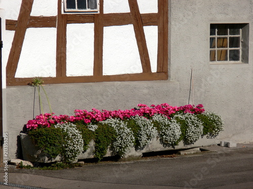 Fachwerk-Fassade mit Blumenschmuck photo