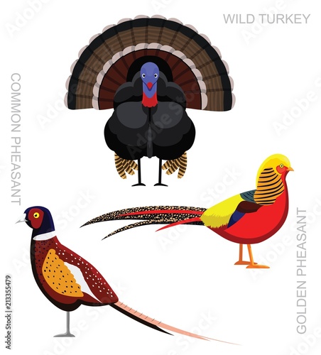 Bird Pheasant Set Cartoon Vector Illustration
