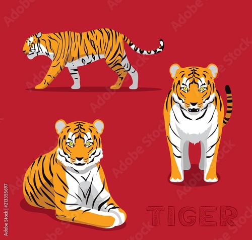 Fototapeta Naklejka Na Ścianę i Meble -  Panthera Tiger Cartoon Vector Illustration