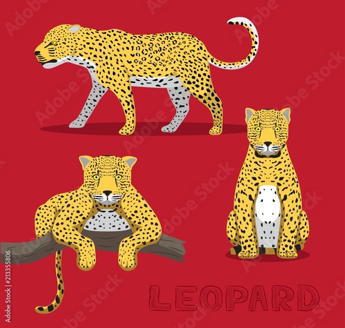 Photography Panthera Leopard Cartoon Vector Illustration