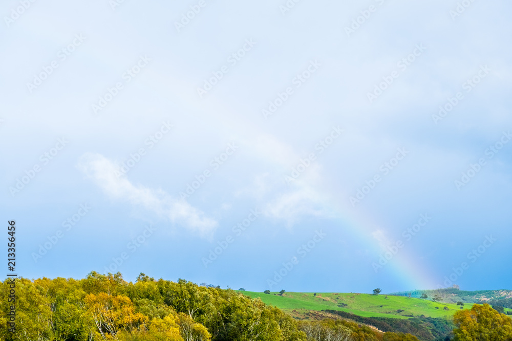 Fototapeta premium Beautiful scene of nature with a rainbow over a green field.
